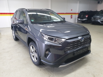 Toyota RAV 4 Hybrid 4x4 Lounge