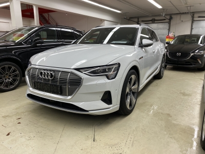 Audi E-Tron 55 quattro kW (ps)