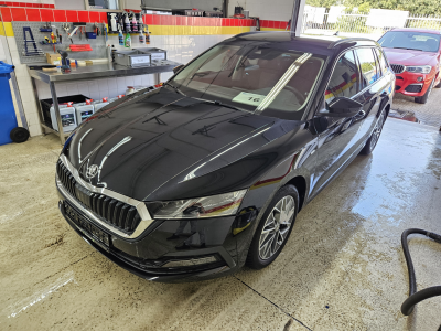 Skoda Škoda  Combi1.5 TSI DSG+Navi+Matrix+Allw.reifen